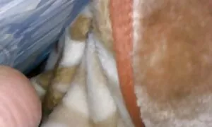 Peeping streaming film porno francais sur une chaud droite coq avec une gros coq masturber